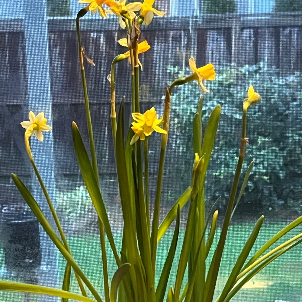 Meet your Posher, Jade